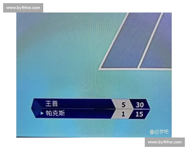 网球得分榜背后的故事:汗水、泪水与梦想的交织